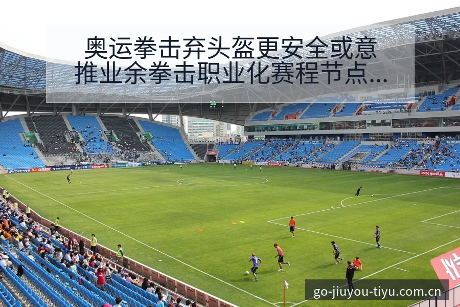 奥运拳击弃头盔更安全或意推业余拳击职业化赛程节点全解析 - 九游体育APP