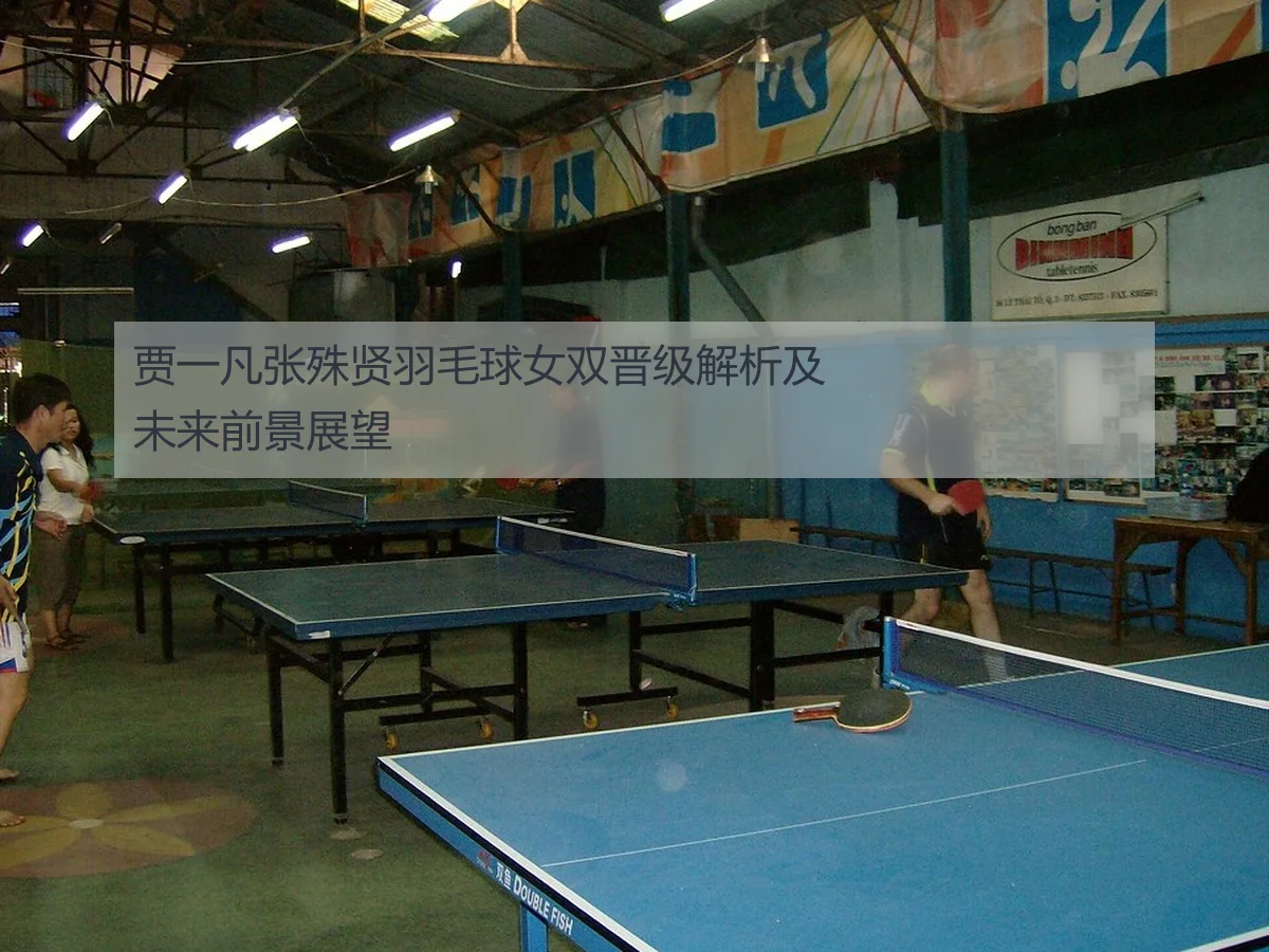 贾一凡张殊贤羽毛球女双晋级解析及未来前景展望